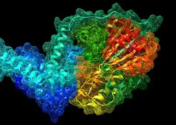 New ‘jumping’ superbug gene discovered, resistant to last-resort antibiotic