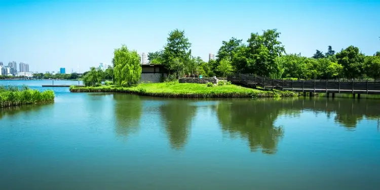 80% cut in antibiotics entering Thames is needed to avoid surge in superbugs