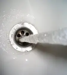 A reservoir of bacteria: Sink drains next to toilets in patient rooms may harbor dangerous organisms