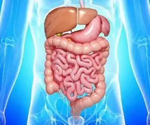 Sinister blastocystis: a clandestine killer of good bacteria revealed