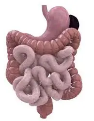 Improving key diagnostic measures for gastrointestinal disorders