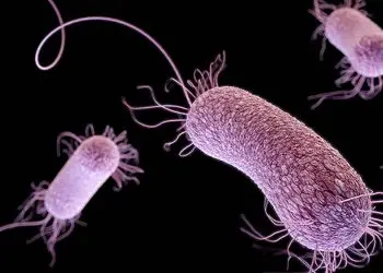 ‘Superbug’ scourge spreads as U.S. fails to track rising human toll