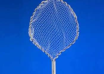 STERIS | US Endoscopy announces full market release of the Roth Net® retriever – 360