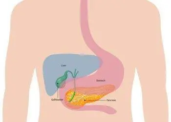 Understanding Digestive Disorders: Symptoms and Insights