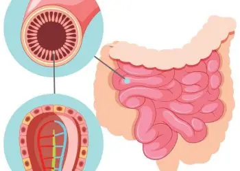 Genetic Testing for Colon Cancer: How It Works and What It Reveals