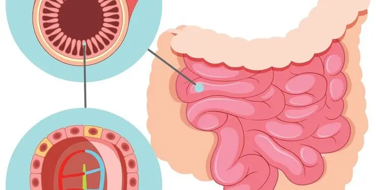 Genetic Testing for Colon Cancer: How It Works and What It Reveals