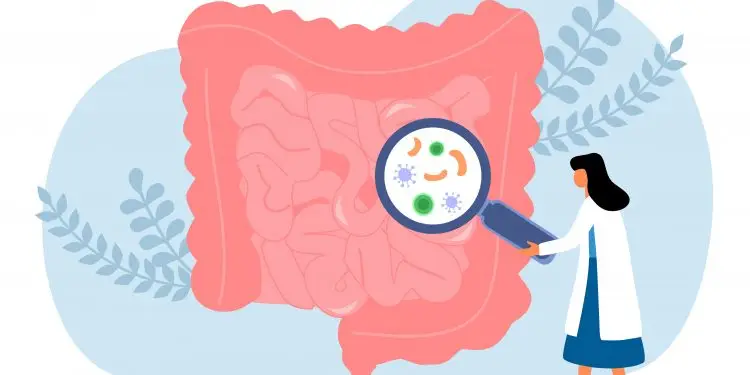 Gut Microorganisms May Play a Role in Constipation