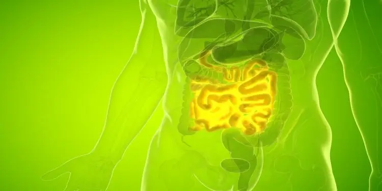 Short-Bowel Syndrome