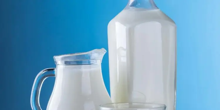 Probiotic Breakthrough Tackles Lactose Digestion Issues